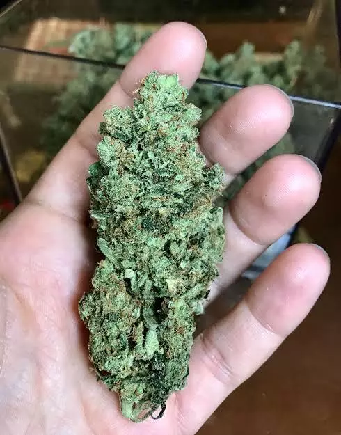 Hot drugs keep you coming for more