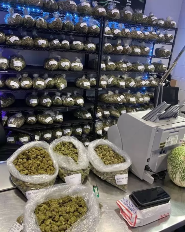 Top strains of drugs with pure quality and discrete delivery, local, express and worldwide 