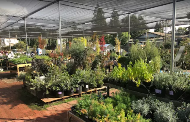 Sloat Garden Center