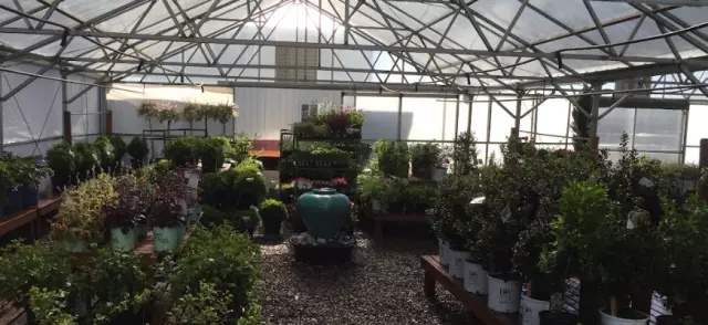 Dreamscapes Landscape Center