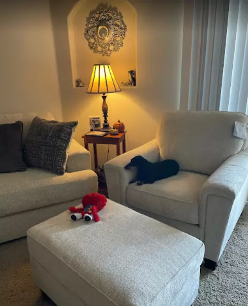 American Furniture Warehouse