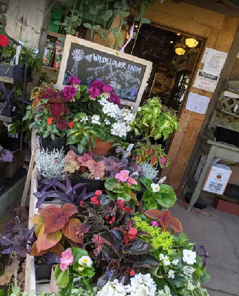 Wildflower Farm Garden Center