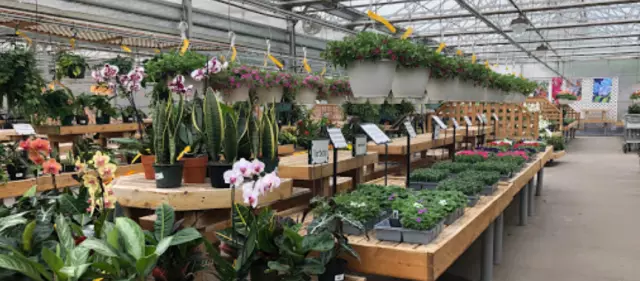 Stonehedge Ldscpg And Garden Center