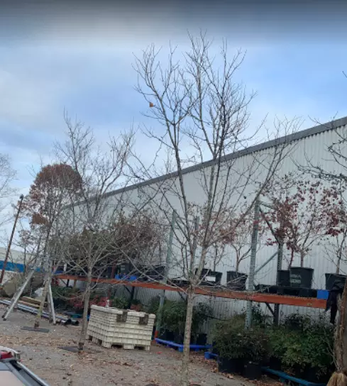 Central Atlanta Props and Sets