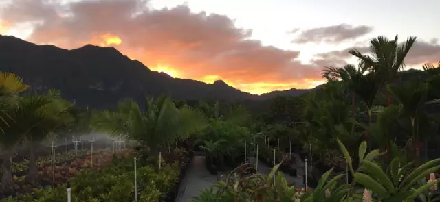 Aloha Aina Landscaping LLC