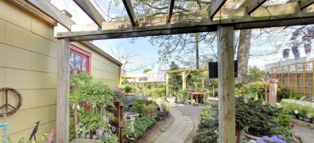 Sweet Peas Garden Shop