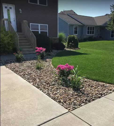 Carew Landscaping
