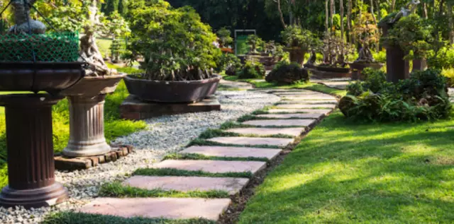 Landscape Alternatives