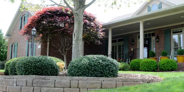 US Lawn  Landscape