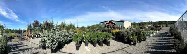 Kens Garden Center