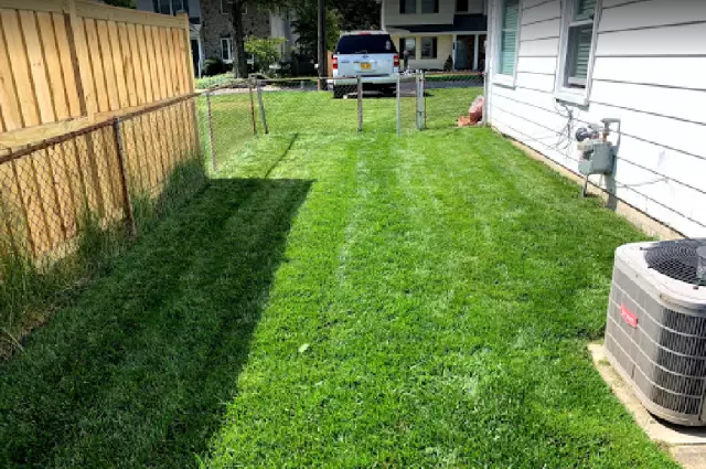 TruGreen Lawn Care