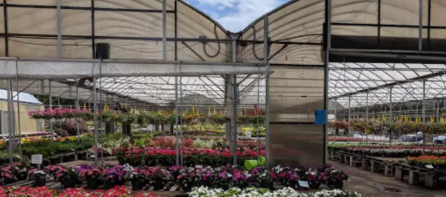 Meadows Farms Nurseries and Landscape