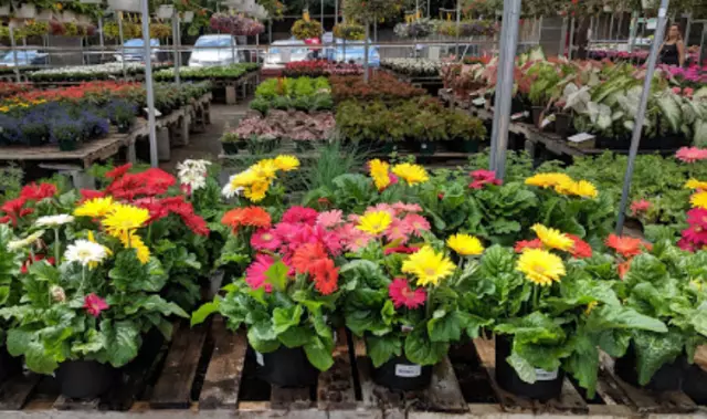 Meadows Farms Nurseries and Landscape