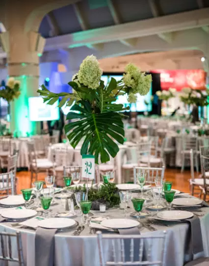 Special D Events