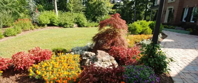 The Grounds Guys of Annapolis