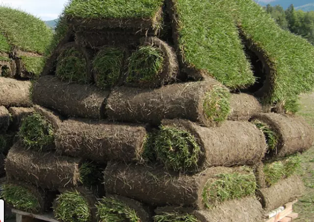 Country Garden Farms