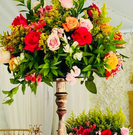 Elegant Visions Event Planning  Draping Designs LLC