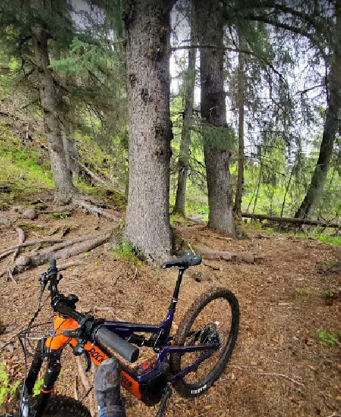 Powder Hound Ski and Bike Shop