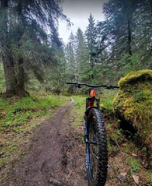 Powder Hound Ski and Bike Shop