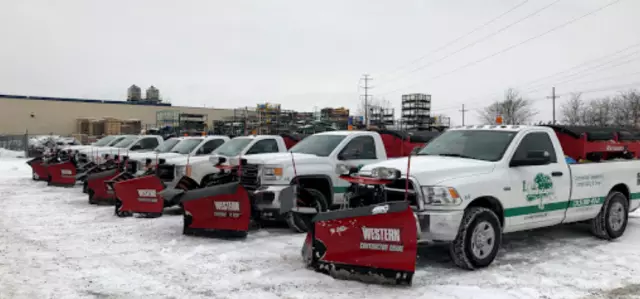Lucia Landscaping