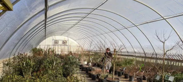 Earthworks Landscape and Supply