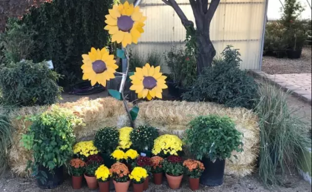 Earthworks Landscape and Supply