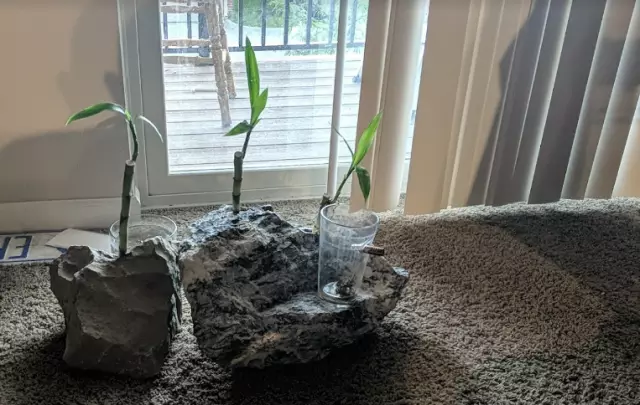 Sun Valley Landscaping