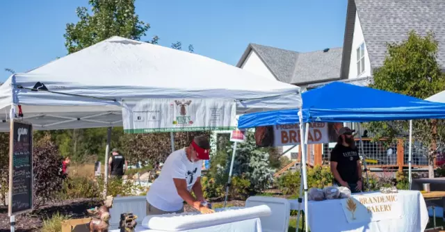 Landmark Nursery and Landscapes