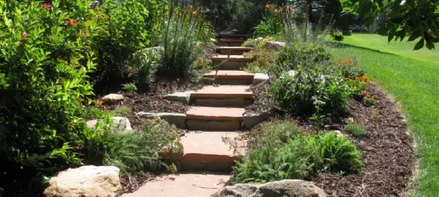 Lincoln Landscaping and Trees Division