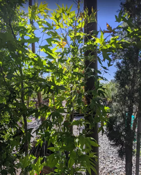 Richards Garden Center, LLC.