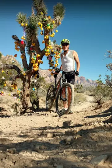 Trek Bicycle Las Vegas Rental Center